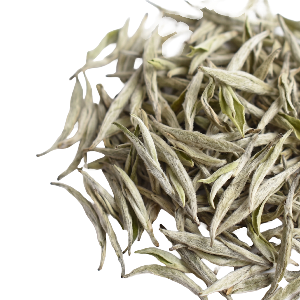 Delicate loose white tea leaves